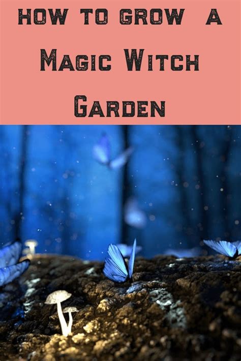 Growing Mystery: The Art of Organic Witch's Gardening
